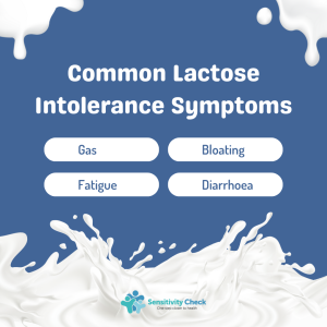 Understanding Lactose Intolerance Image